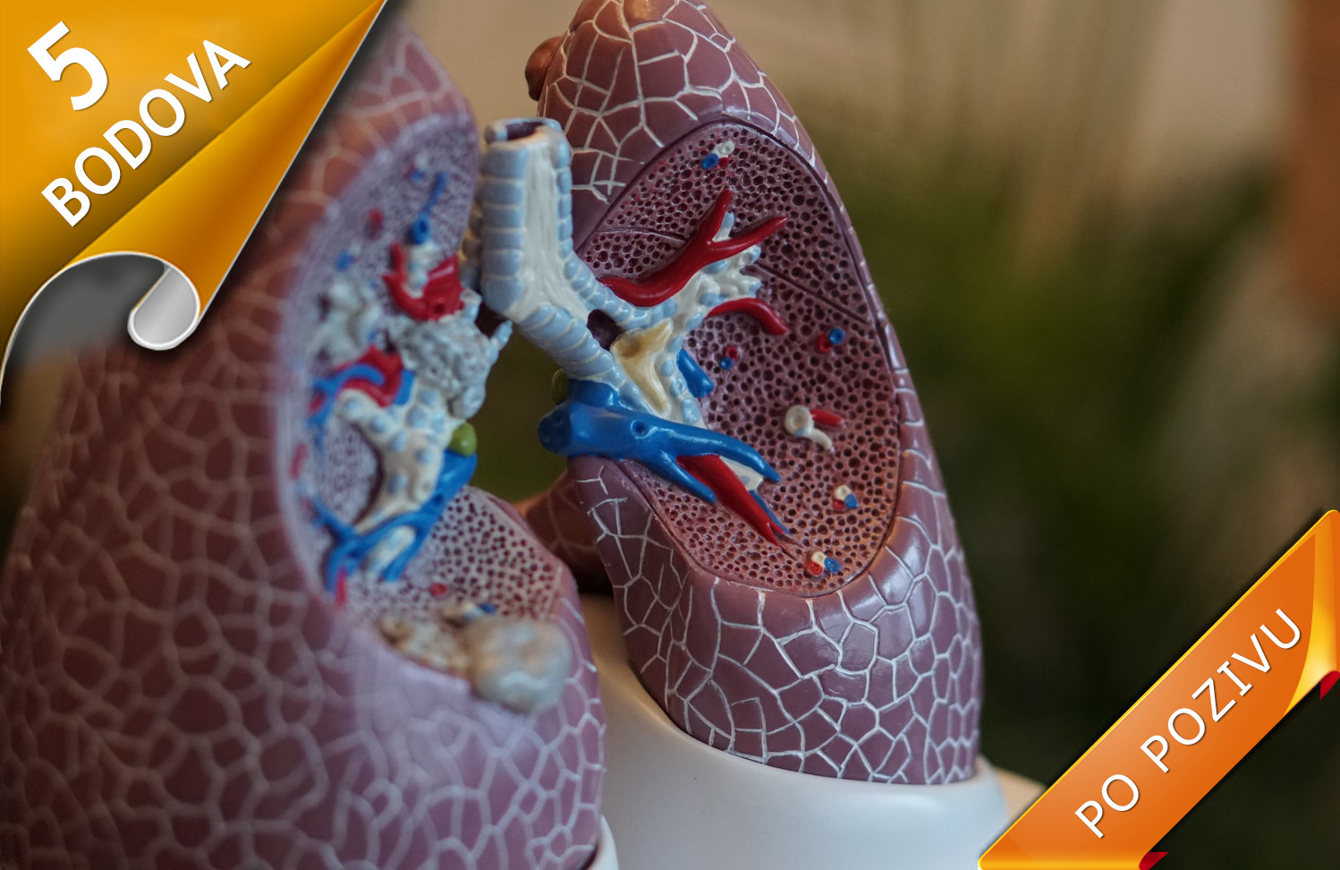 AMBROKSOL U MUKOLITIČKOJ TERAPIJI AKUTNIH I HRONIČNIH BRONHOPULMONALNIH BOLESTI